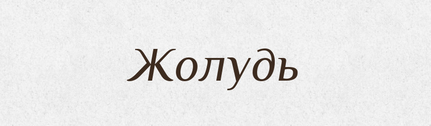 Жолудь — Російсько-український академічний словник (А–П)