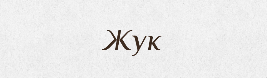 Жук — Російсько-український академічний словник (А–П)