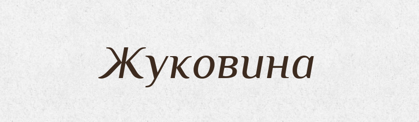 Жуковина — Російсько-український академічний словник (А–П)