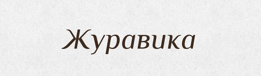 Журавика — Російсько-український академічний словник (А–П)