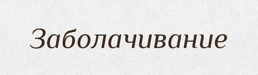 Заболачивание — Російсько-український академічний словник (А–П)