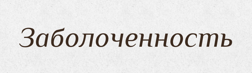 Заболоченность — Російсько-український академічний словник (А–П)