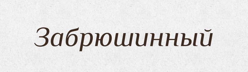 Забрюшинный — Російсько-український академічний словник (А–П)