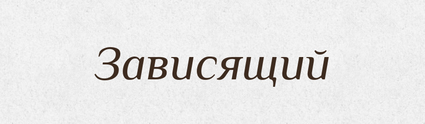 Зависящий — Російсько-український академічний словник (А–П)