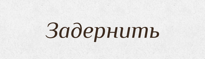 Задернить — Російсько-український академічний словник (А–П)