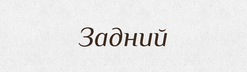 Задний — Російсько-український академічний словник (А–П)