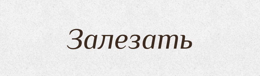 Залезать — Російсько-український академічний словник (А–П)