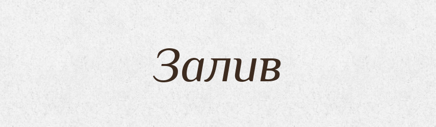 Залив — Російсько-український академічний словник (А–П)