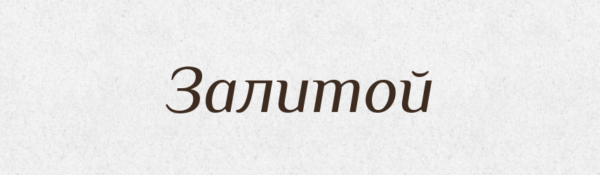 Залитой — Російсько-український академічний словник (А–П)