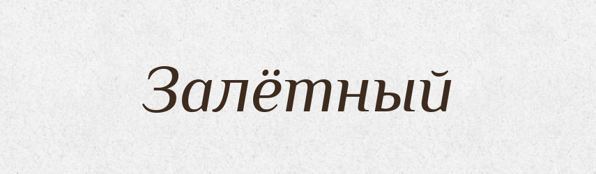 Залётный — Російсько-український академічний словник (А–П)