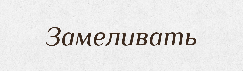 Замеливать — Російсько-український академічний словник (А–П)