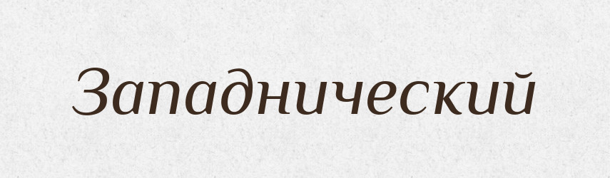 Западнический — Російсько-український академічний словник (А–П)
