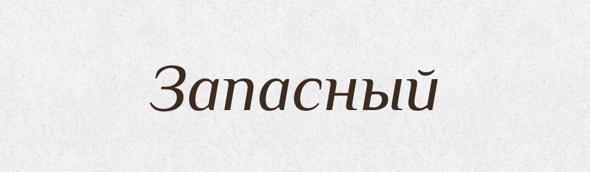 Запасный — Російсько-український академічний словник (А–П)
