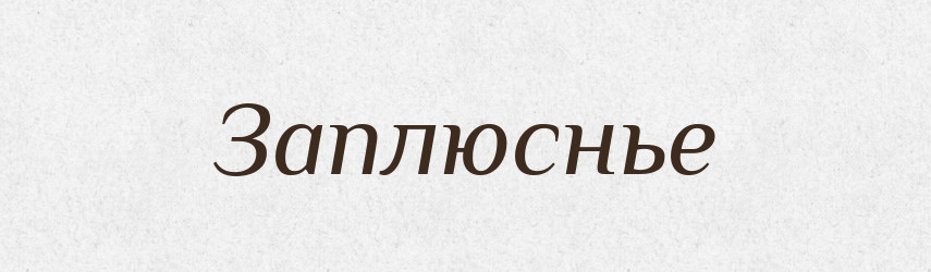 Заплюснье — Російсько-український академічний словник (А–П)