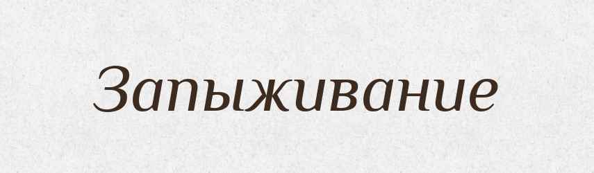 Запыживание — Російсько-український академічний словник (А–П)
