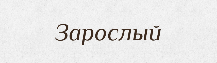 Зарослый — Російсько-український академічний словник (А–П)