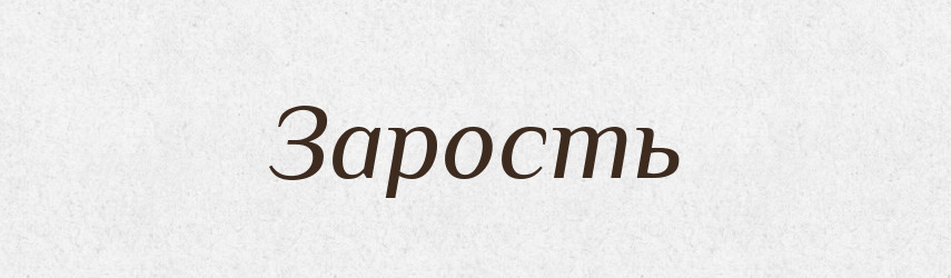 Зарость — Російсько-український академічний словник (А–П)