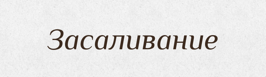 Засаливание — Російсько-український академічний словник (А–П)