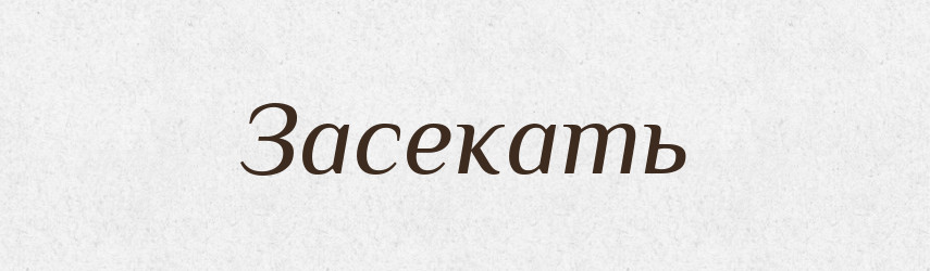 Засекать — Російсько-український академічний словник (А–П)