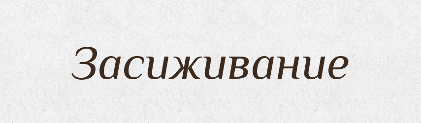 Засиживание — Російсько-український академічний словник (А–П)