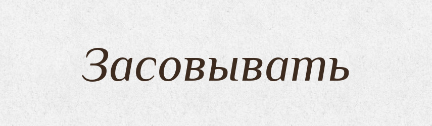 Засовывать — Російсько-український академічний словник (А–П)