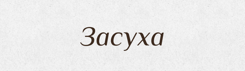 Засуха — Російсько-український академічний словник (А–П)