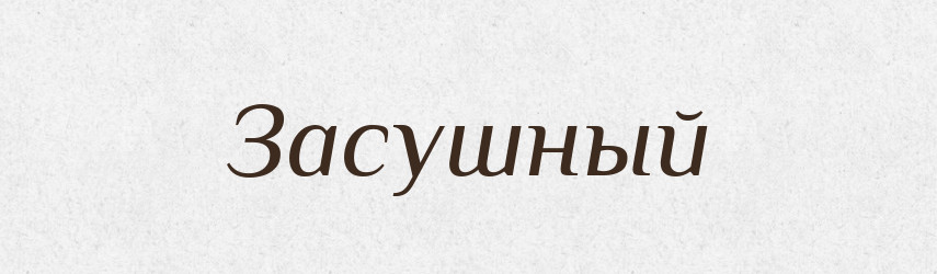 Засушный — Російсько-український академічний словник (А–П)