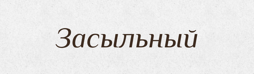 Засыльный — Російсько-український академічний словник (А–П)
