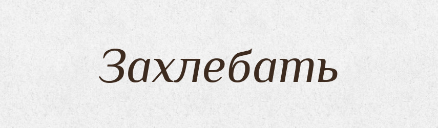 Захлебать — Російсько-український академічний словник (А–П)