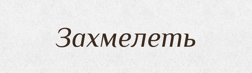 Захмелеть — Російсько-український академічний словник (А–П)