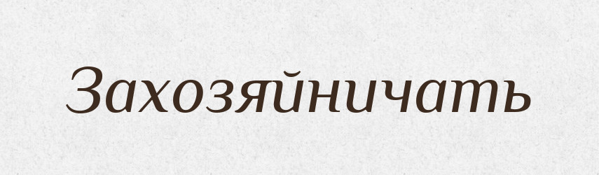 Захозяйничать — Російсько-український академічний словник (А–П)