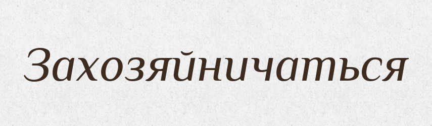 Захозяйничаться — Російсько-український академічний словник (А–П)