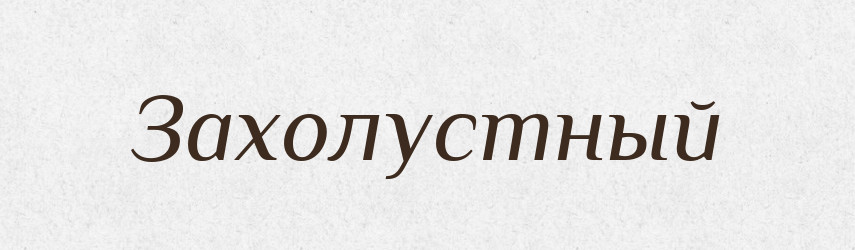 Захолустный — Російсько-український академічний словник (А–П)