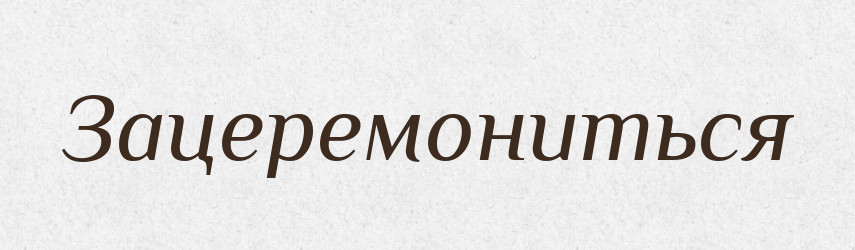 Зацеремониться — Російсько-український академічний словник (А–П)