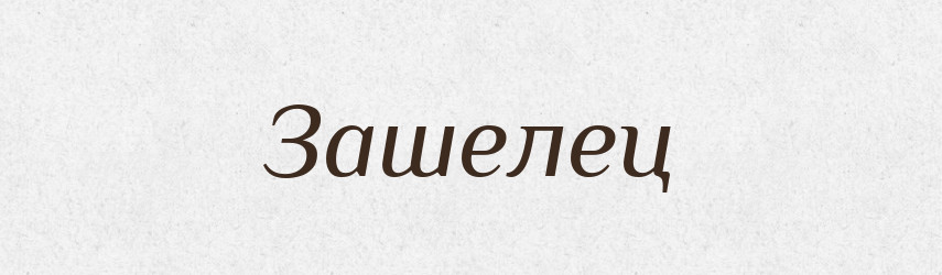 Зашелец — Російсько-український академічний словник (А–П)