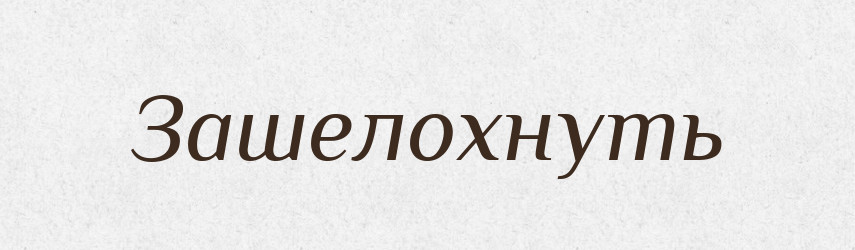Зашелохнуть — Російсько-український академічний словник (А–П)