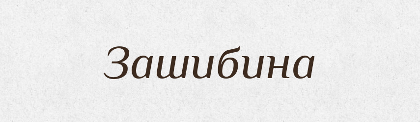 Зашибина — Російсько-український академічний словник (А–П)