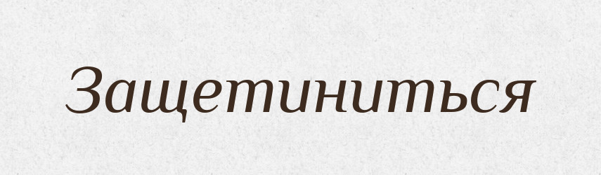 Защетиниться — Російсько-український академічний словник (А–П)