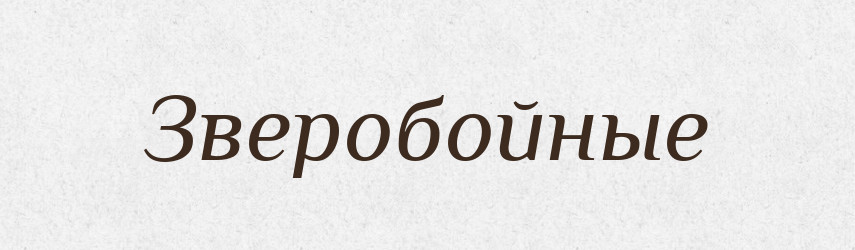 Зверобойные — Російсько-український академічний словник (А–П)