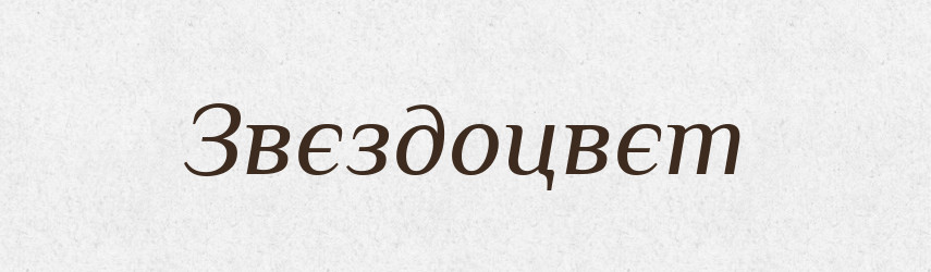 Звєздоцвєт — Російсько-український академічний словник (А–П)