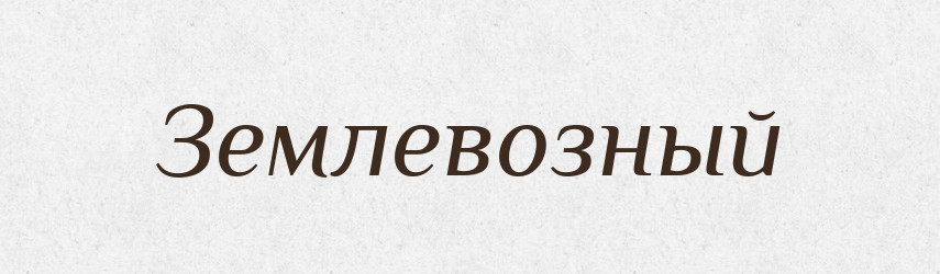 Землевозный — Російсько-український академічний словник (А–П)