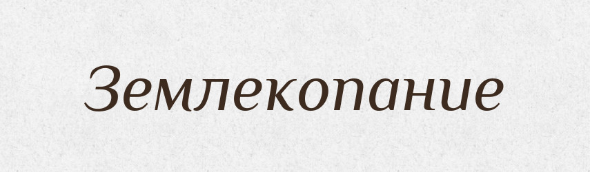 Землекопание — Російсько-український академічний словник (А–П)
