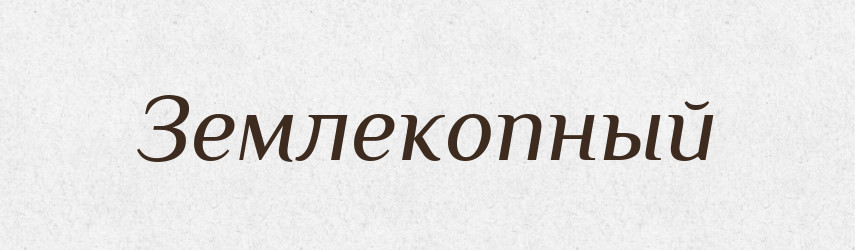 Землекопный — Російсько-український академічний словник (А–П)
