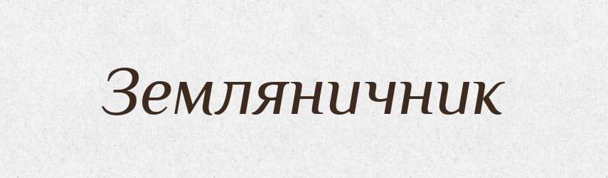 Земляничник — Російсько-український академічний словник (А–П)