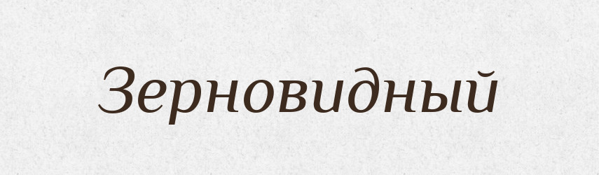 Зерновидный — Російсько-український академічний словник (А–П)