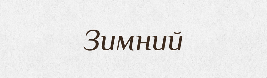 Зимний — Російсько-український академічний словник (А–П)