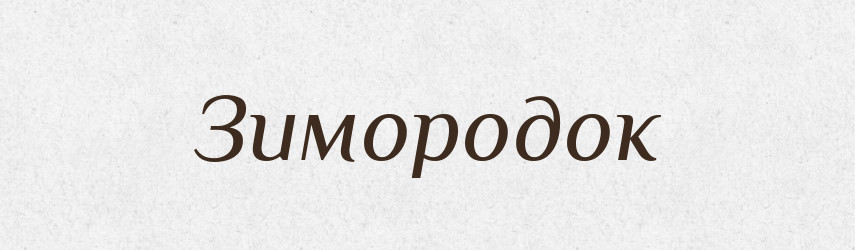 Зимородок — Російсько-український академічний словник (А–П)
