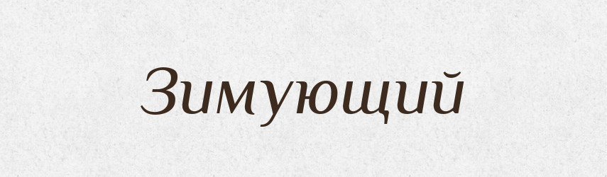 Зимующий — Російсько-український академічний словник (А–П)