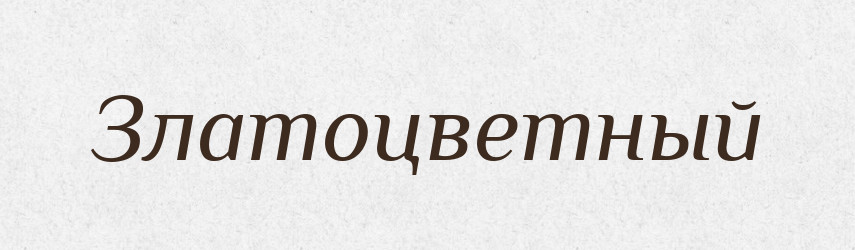 Златоцветный — Російсько-український академічний словник (А–П)