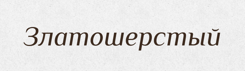 Златошерстый — Російсько-український академічний словник (А–П)